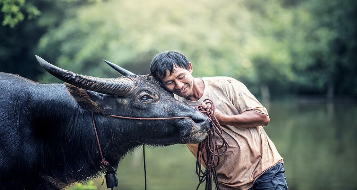 सपने में मैले कपड़े देखना