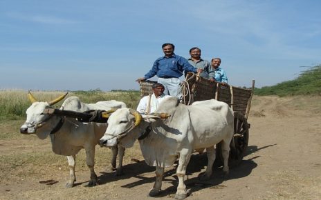 सपने में खाली बैलगाड़ी देखना