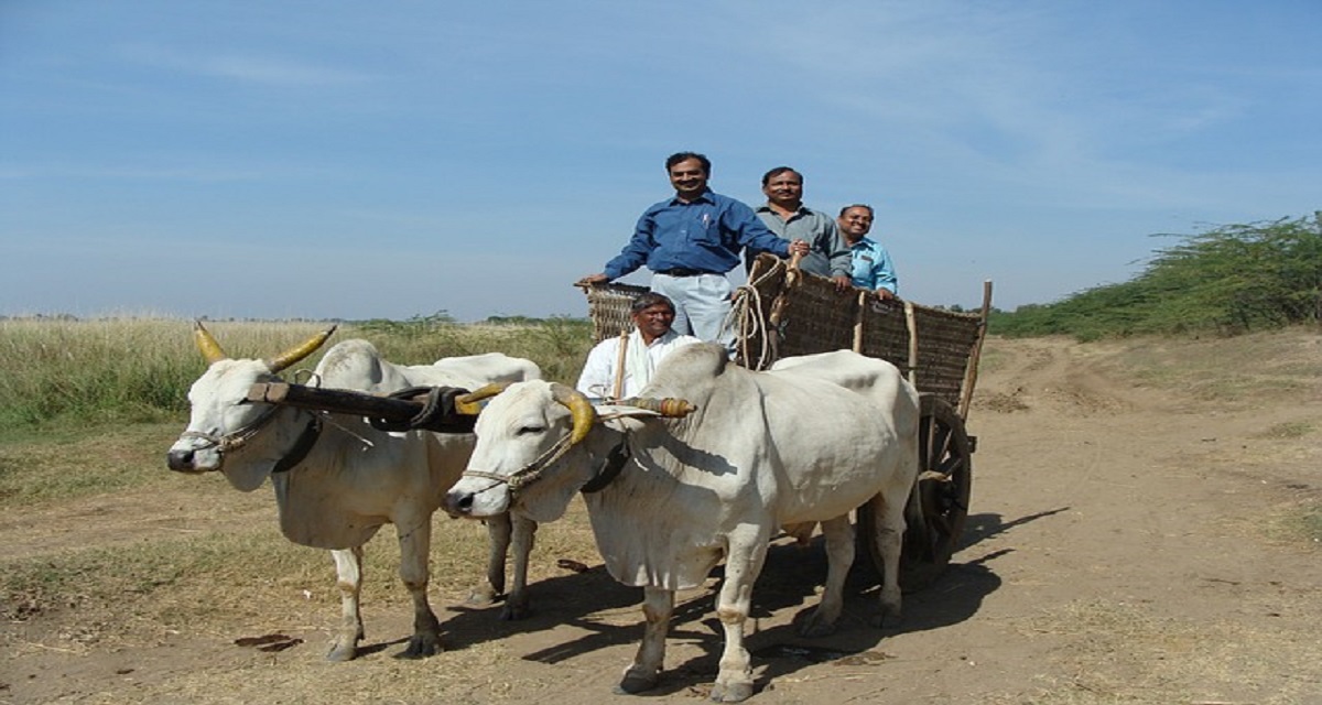 सपने में खाली बैलगाड़ी देखना